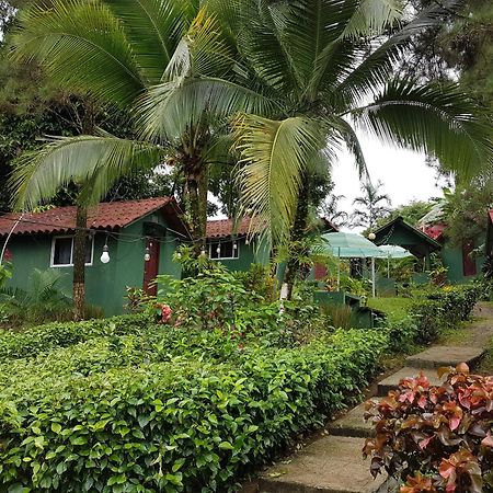 Los Pinos De Torio Buitenkant foto