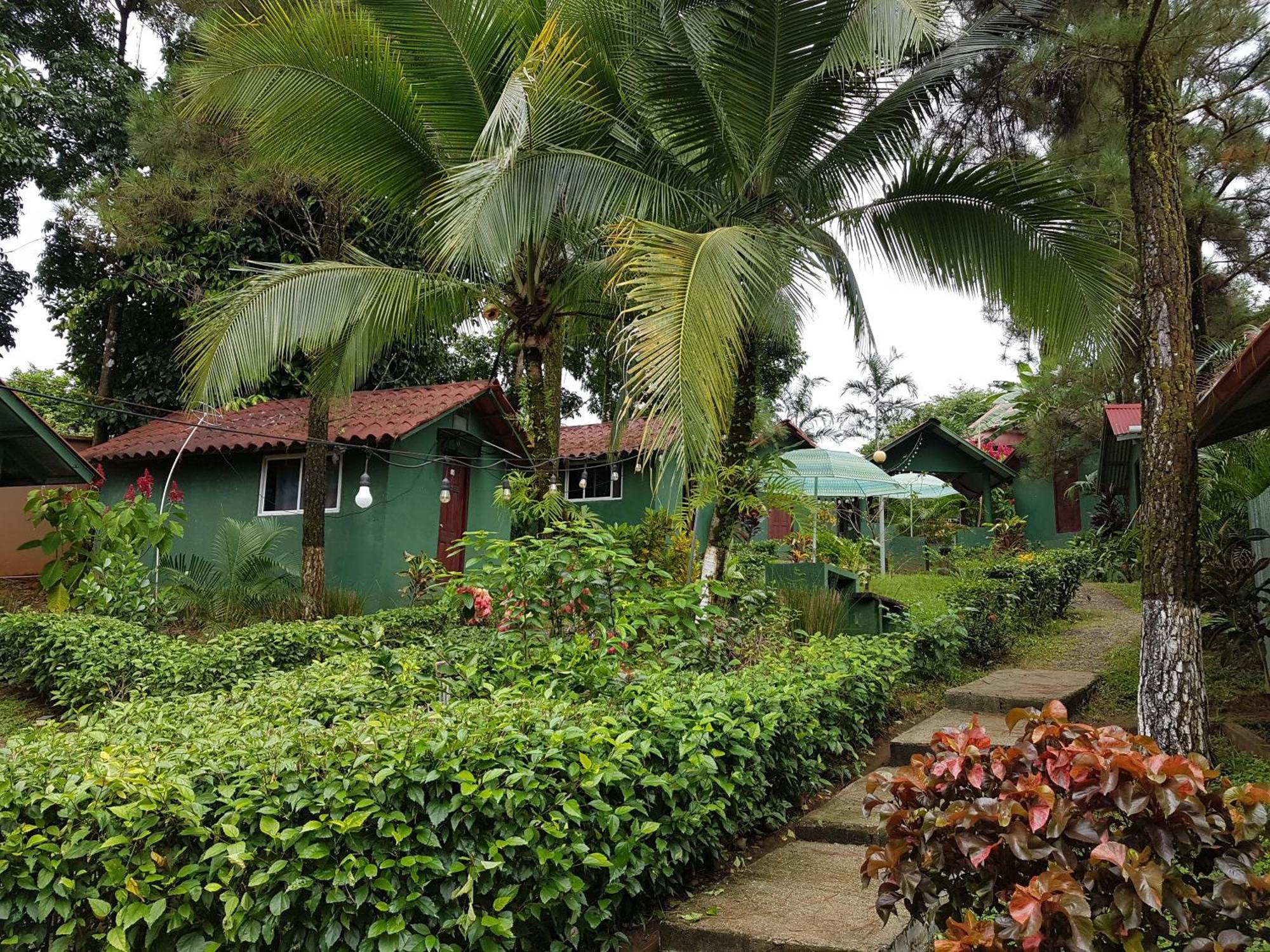 Los Pinos De Torio Buitenkant foto