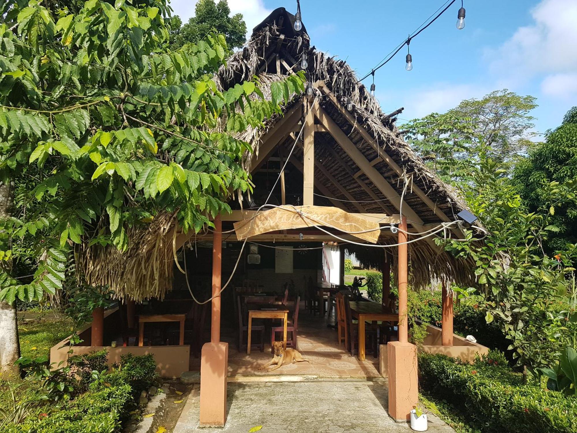 Los Pinos De Torio Buitenkant foto