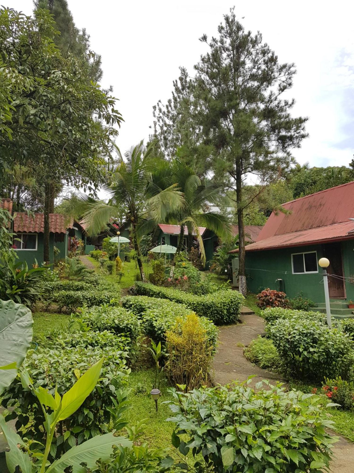 Los Pinos De Torio Buitenkant foto