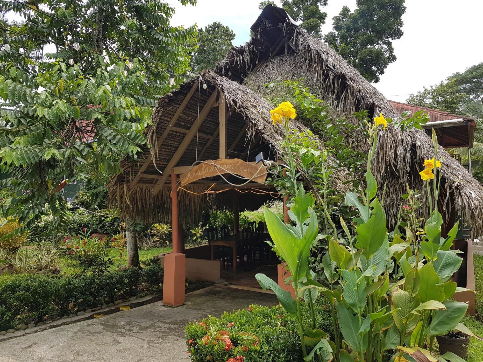 Los Pinos De Torio Buitenkant foto