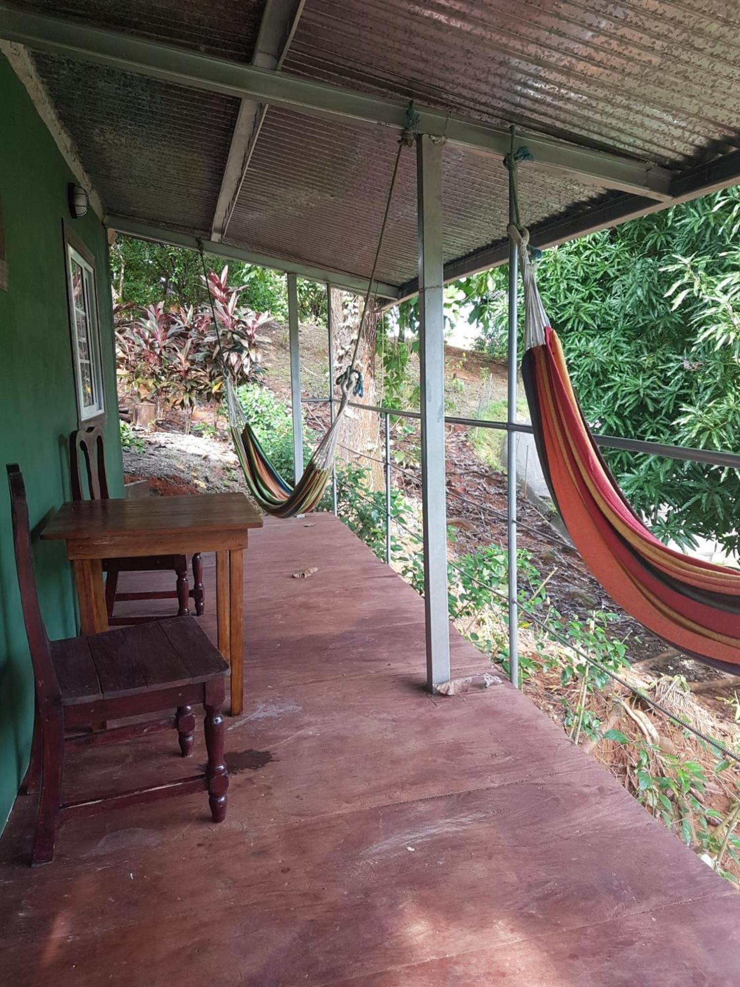 Los Pinos De Torio Buitenkant foto