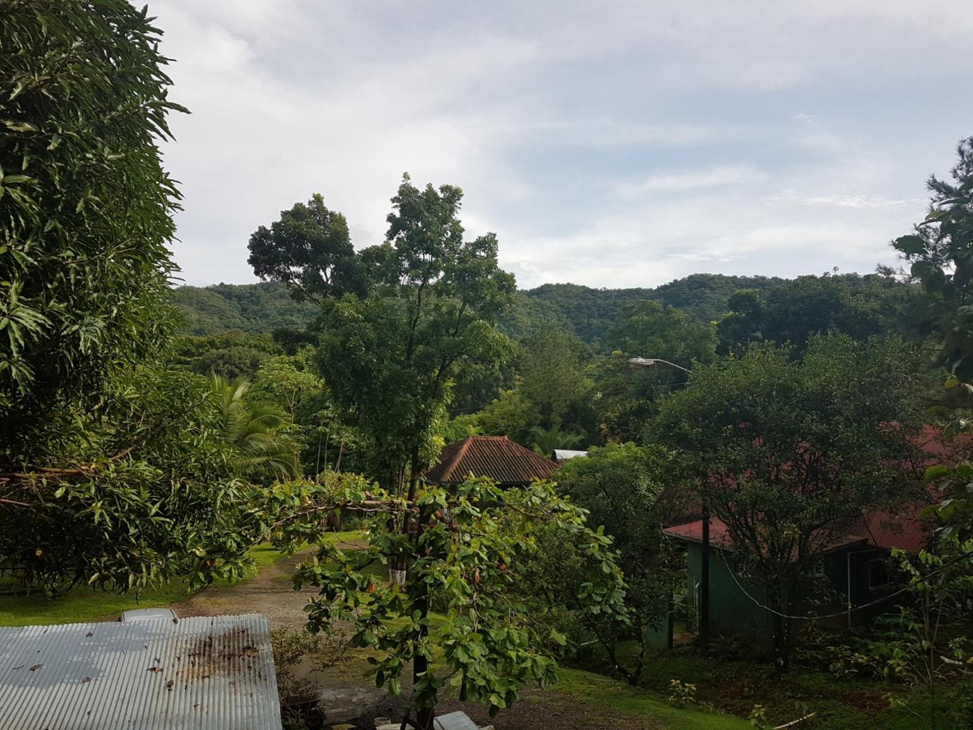 Los Pinos De Torio Buitenkant foto